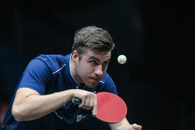 牙权威媒体 牙权威媒体